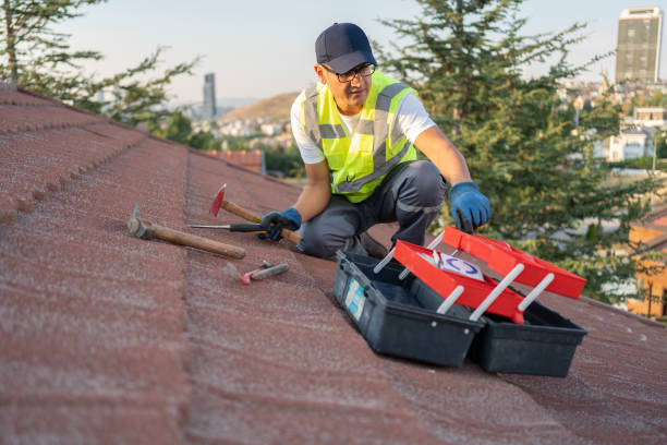 Best Attic Cleanout  in Vineyards, FL